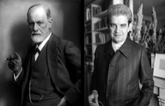 La funzione della causa in psicoanalisi. cosa cambia, cosa resta da freud a lacan